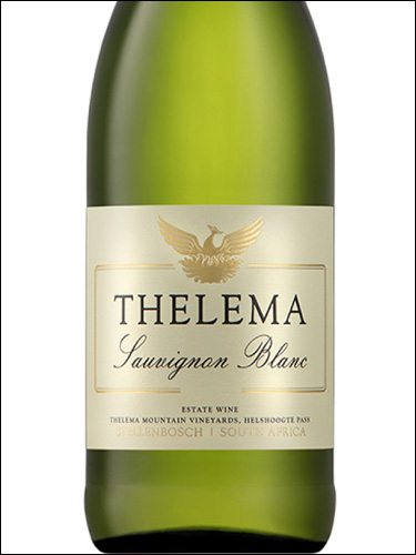фото Thelema Sauvignon Blanc Stellenbosch WO Телема Совиньон Блан Стелленбош ЮАР вино белое