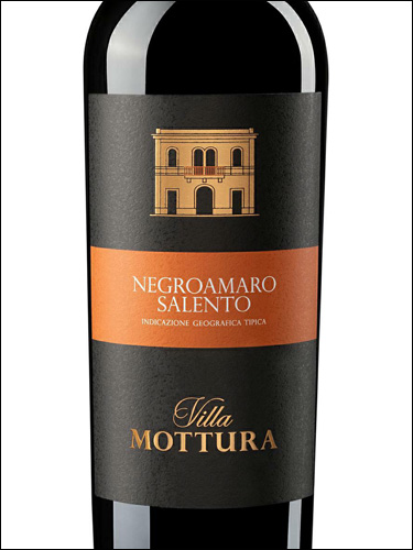 фото Villa Mottura Negroamaro del Salento IGT Вилла Моттура Негроамаро дель Саленто Италия вино красное
