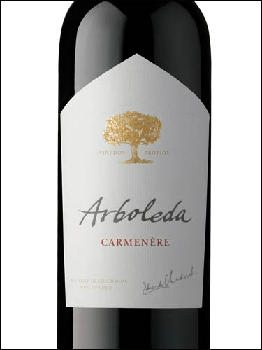 фото Arboleda Carmenere Valle de Aconcagua DO Арболеда Карменер Долина Аконкагуа Чили вино красное