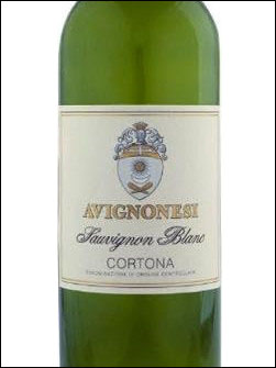 фото Avignonesi Sauvignon Blanc Cortona DOC Авиньонези Совиньон Блан Кортона Италия вино белое