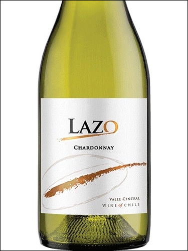 фото Lazo Chardonnay Лазо Шардоне Чили вино белое