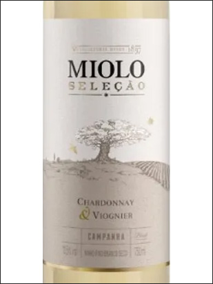 фото Miolo Seleção Chardonnay & Viognier Миоло Селесан Шардоне & Вионье Бразилия вино белое