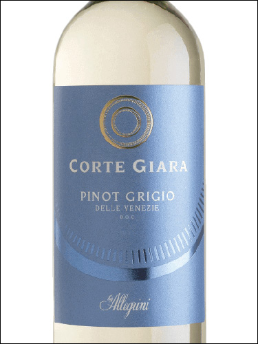 фото Allegrini Corte Giara Pinot Grigio delle Venezie DOC Аллегрини Корте Джара Пино Гриджио делле Венецие Италия вино белое