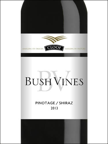 фото Cloof Bush Vines Pinotage Shiraz Darling WO Клуф Буш Вайнз Пинотаж Шираз Дарлинг ЮАР вино красное