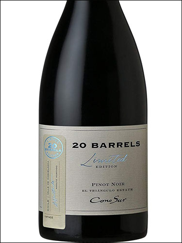 фото Cono Sur 20 Barrels Limited Edition Pinot Noir Casablanca Valley DO Коно Сур 20 Баррелей Пино Нуар Лимитед Эдишн Долина Касабланка Чили вино красное