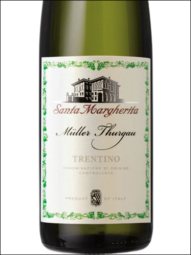 фото Santa Margherita Muller Thurgau Trentino DOC Санта Маргарита Мюллер Тургау Трентино Италия вино белое