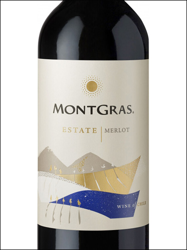 фото MontGras Estate Merlot Central Valley DO МонтГрас Эстате Мерло Центральная Долина Чили вино красное
