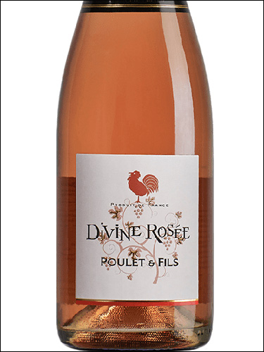 фото Poulet & Fils Petillant Naturel Divine Rosee Пуле & Фис Петийан Натюрель Дивин Розе Франция вино розовое