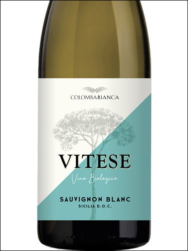 фото Colomba Bianca Vitese Sauvignon Blanc Sicilia DOC Коломба Бьянка Витезе Совиньон Блан Сицилия Италия вино белое