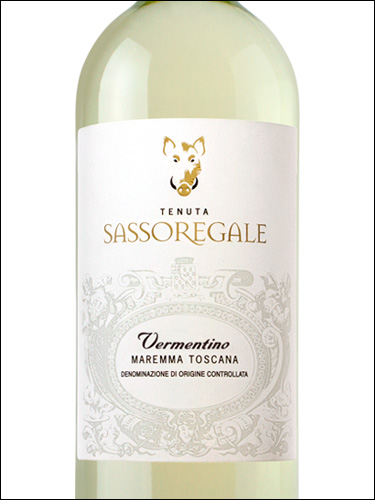 фото Tenuta Sassoregale Vermentino Maremma Toscana DOC Тенута Сассорегале Верментино Маремма Тоскана Италия вино белое