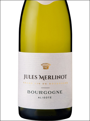 фото Jules Merlinot Bourgogne Aligote AOC Жюль Мерлино Бургонь Алиготе Франция вино белое