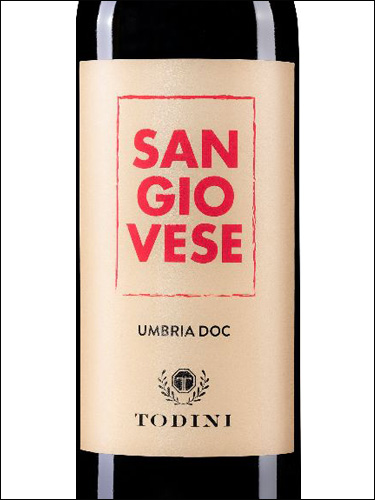 фото Todini Sangiovese di Todi DOC Тодини Санджовезе ди Тоди Италия вино красное