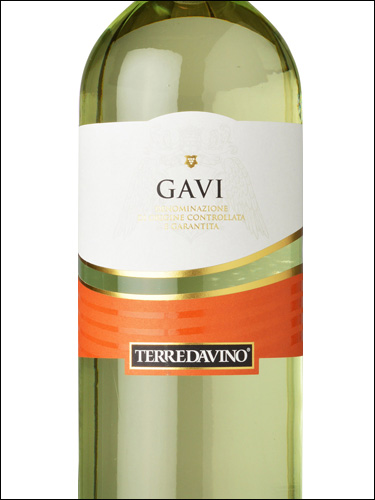 фото Terre da Vino Gavi DOCG Терре да Вино Гави Италия вино белое