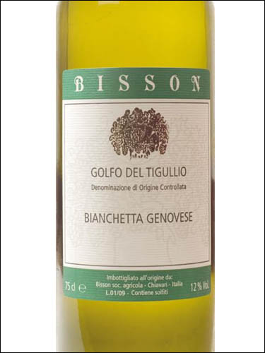 фото Bisson Bianchetta Genovese Golfo del Tigullio DOC Биссон Бьянкетта Дженовезе Гольфо дель Тигуллио Италия вино белое