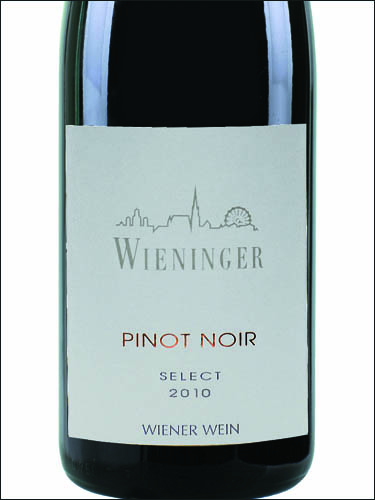 фото Wieninger Pinot Noir Select Винингер Пино Нуар Селект Австрия вино красное