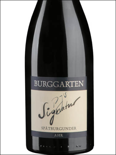 фото Burggarten Spatburgunder PJ's Signatur trocken Ahr Бурггартен Шпетбургундер Сигнатур трокен Ар Германия вино красное