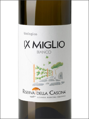 фото Riserva della Cascina IX Miglio Lazio IGP Ризерва делла Кашина IX Мильо Лацио Италия вино белое