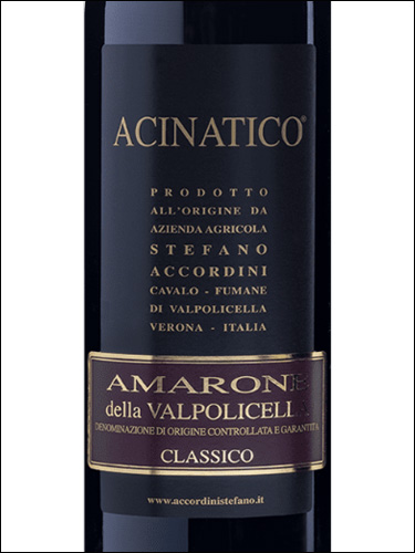 фото Stefano Accordini Acinatico Amarone della Valpolicella Classico DOCG Стефано Аккордини Ачинатико Амароне делла Вальполичелла Классико Италия вино красное