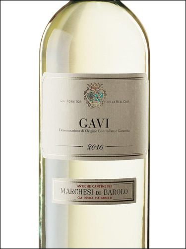 фото Marchesi di Barolo Gavi DOCG Маркези ди Бароло Гави Италия вино белое