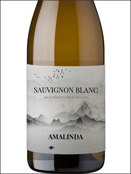 фото вино Amalinda Sauvignon Blanc 