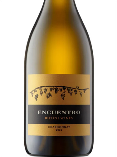 фото Rutini Wines Encuentro Chardonnay Рутини Вайнс Энкуэнтро Шардоне Аргентина вино белое