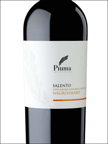 фото Piuma Negroamaro Salento IGP Пьюма Негроамаро Саленто Италия вино красное