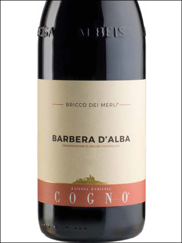 фото Cogno Bricco dei Merli Barbera d'Alba DOC Коньо Брикко дей Мерли Барбера д'Альба Италия вино красное