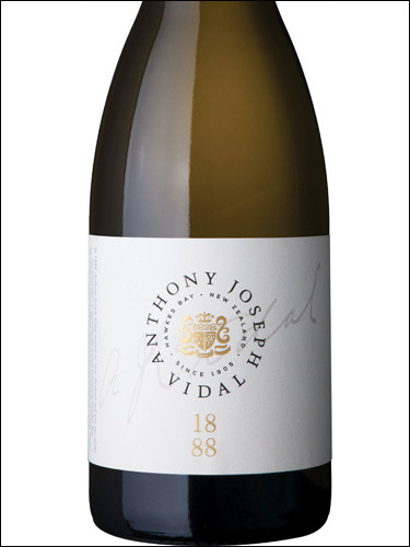 фото Vidal 1888 Chardonnay Hawke's Bay Видаль 1888 Шардоне Хокс-Бей Новая Зеландия вино белое