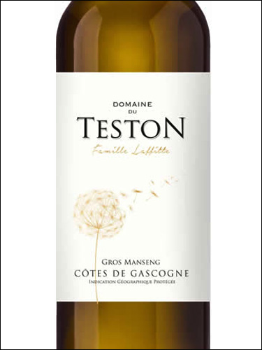 фото Domaine du Teston Gros Manseng Cotes de Gascogne IGP Домен дю Тестон Гро Мансан Кот де Гасконь Франция вино белое