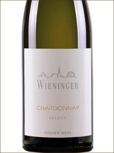фото Wieninger Chardonnay Select Винингер Шардоне Селект Австрия вино белое