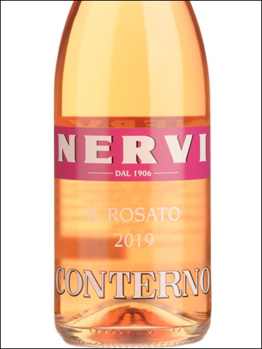 фото Nervi Il Rosato Нерви Иль Розато Италия вино белое