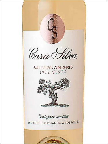 фото Casa Silva 1912 Vines Sauvignon Gris Каса Сильва 1912 Вайнс Совиньон Гри Чили вино белое