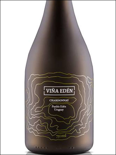 фото Vina Eden Chardonnay Винья Эден Шардоне Уругвай вино белое