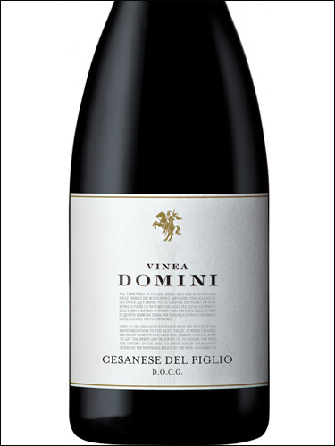 фото Vinea Domini Cesanese del Piglio DOCG Винеа Домини Чезанезе дель Пильо Италия вино красное