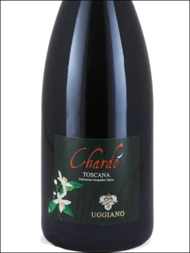 фото Uggiano Chardo Chardonnay Toscana IGT Уджиано Шардо Шардоне Тоскана Италия вино белое