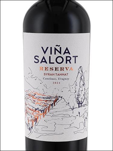 фото Familia Traversa Vina Salort Reserva Syrah Tannat Фамилия Траверса Винья Салорт Резерва Сира Таннат Уругвай вино красное