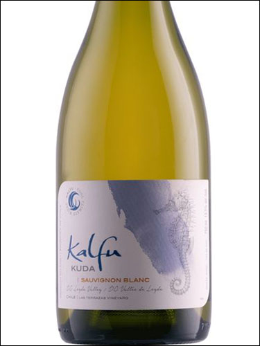 фото Kalfu Kuda Sauvignon Blanc Leyda Valley DO Кальфу Куда Совиньон Блан Долина Лейда Чили вино белое