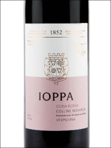 фото Ioppa Coda Rossa Vespolina Colline Novaresi DOC Иоппа Кода Росса Весполина Коллине Новарези Италия вино красное