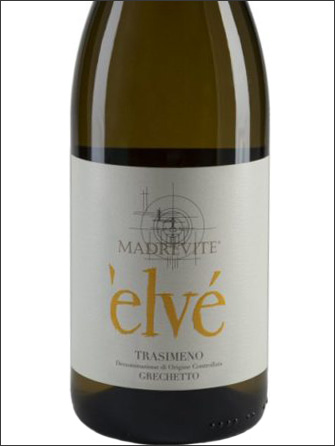 фото Madrevite elve Trasimeno Grechetto DOC Мадревите эльве Тразимено Грекетто Италия вино белое