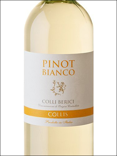 фото Collis Pinot Bianco Colli Berici DOC Коллис Пино Бьянко Колли Беричи Италия вино белое
