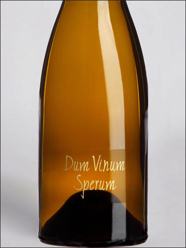 фото Skouras Dum Vinum Sperum Peloponnese PGI Скурас Дум Винум Сперум Пелопоннес Греция вино белое