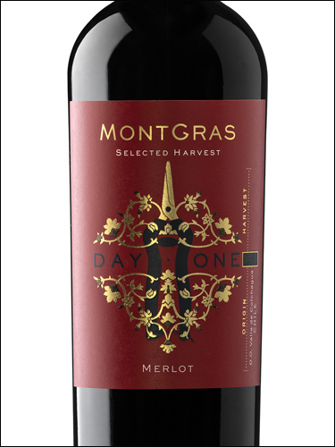 фото MontGras Day One Merlot МонтГрас Дэй Ван Мерло Чили вино красное