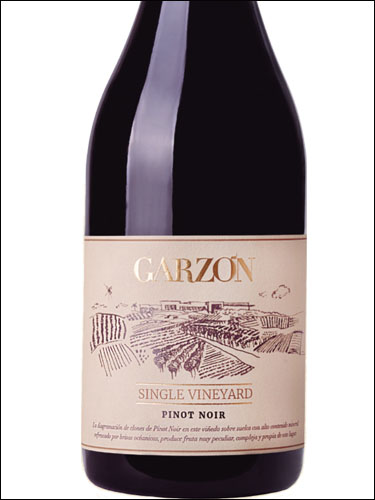 фото Bodega Garzon Single Vineyard Pinot Noir Бодега Гарсон Сингл Виньярд Пино Нуар Уругвай вино красное