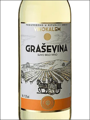 фото Vino Kalem Graševina Вино Калем Грашевина Сербия вино белое