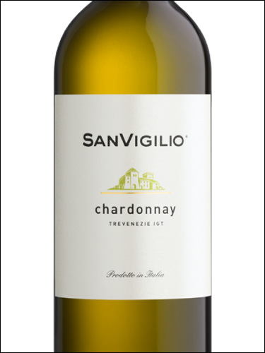 фото SanVigilio Chardonnay Trevenezie IGT СанВиджилио Шардоне Тревенецие Италия вино белое