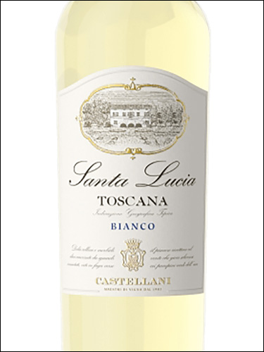 фото Castellani Santa Lucia Toscana Bianco IGT Кастеллани Санта Лючия Тоскана Бьянко Италия вино белое