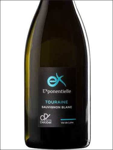 фото Domaine Delobel Exponentielle Touraine Sauvignon AOC Домен Делобель Экспонансьель Турень Совиньон Франция вино белое