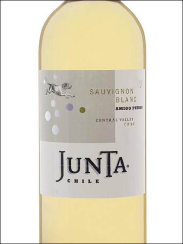 фото Junta Sauvignon Blanc Amigo Perro Хунта Совиньон Блан Амиго Перро Чили вино белое