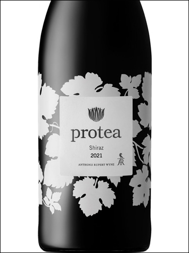 фото Protea Shiraz Протея Шираз ЮАР вино красное