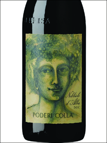 фото Poderi Colla Nebbiolo d'Alba DOC Подери Колла Неббиоло д'Альба Италия вино красное